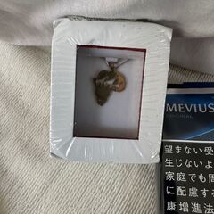 AFRICAN GIRAFFE PENDANT