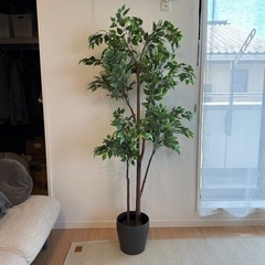 フェイクグリーン　IKEA 観葉植物