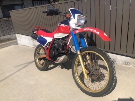 ホンダXLR250 実動 自賠責R7年1月 250cc