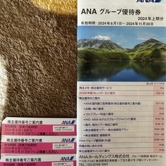 ANA 2025年5月31日まで 全日空 株主 優待券