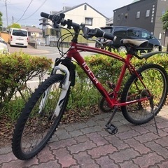 シマノ　26インチ　IDCR　変速付　ロード自転車