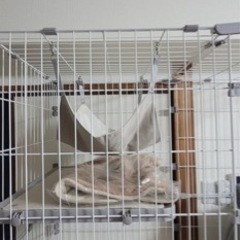 全て未使用品！猫用品　ケージ　ペットベッド　