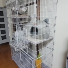 全て未使用品！猫用品　ケージ　ペットベッド　