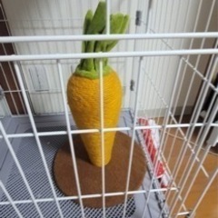 全て未使用品！猫用品　ケージ　ペットベッド　