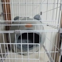 全て未使用品！猫用品　ケージ　ペットベッド　
