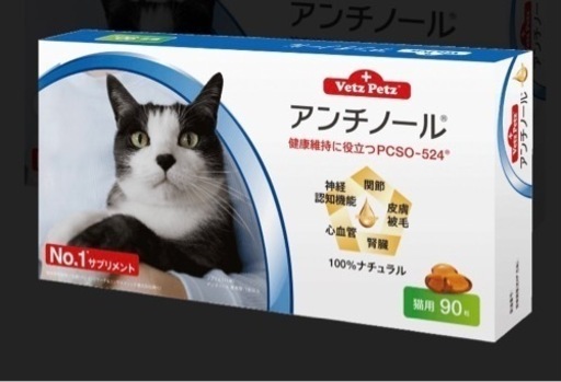 猫　アンチノール 90粒