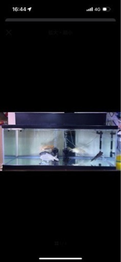 120水槽セット