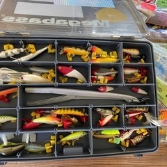 バス釣り&シーバスセット