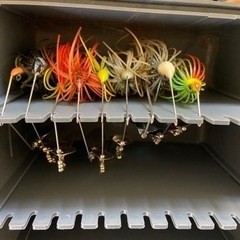 バス釣り&シーバスセット