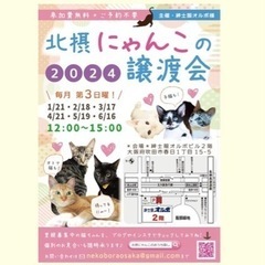 ５月１９日犬猫譲渡会in吹田市