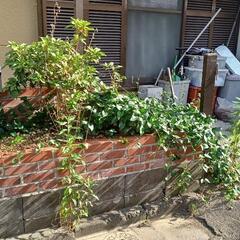 家の草刈りをしてくださる方 - 和歌山市