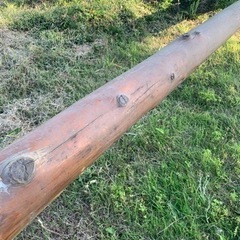 丸太　材木　鯉のぼり　