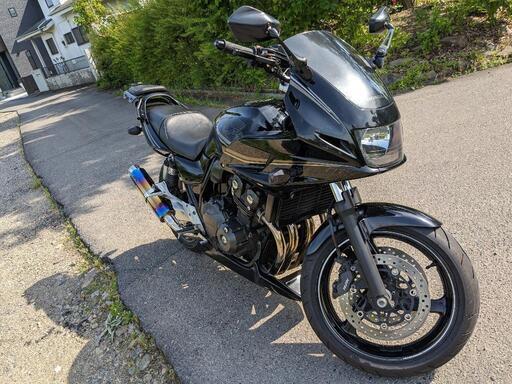 限定価格！アンダーカウル　青白　車種設計可能！ 限定価格！アンダーカウル白青車種設計可能！