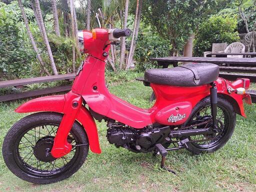 ホンダ　リトルカブラ50 希少車