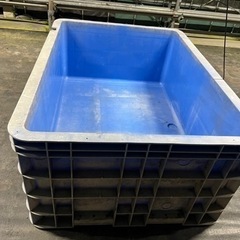 大型タライ　メダカ　