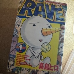 漫画　RAVE1〜22巻