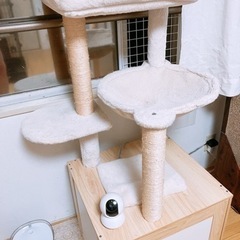 キャットタワー 猫 ペット