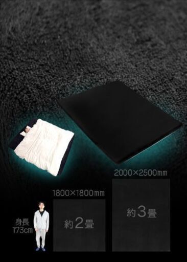 【新品未使用】Bauhutte(バウヒュッテ) 部屋ごとベッドラグ
