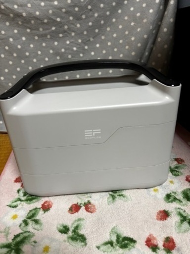 その他 ecoflow River MAX  plus 720wh