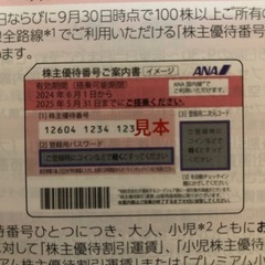 ANA    株主優待　2024年6月1日〜2025年5月31日　