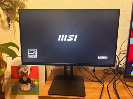 モニター／ゲーミング／MSI PRO MP251P