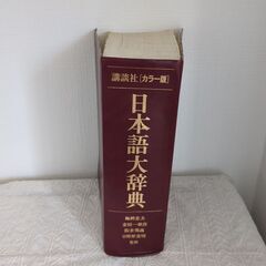 講談社　カラー版　日本語大辞典