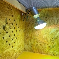 取引中 爬虫類ケージ2セット 90アルミラック付き