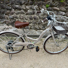マハロ　ジュニア　22インチ　子供用自転車