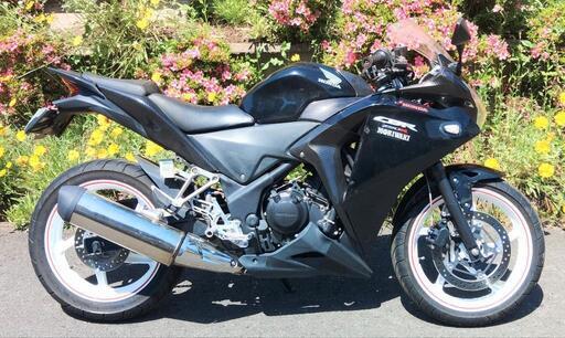 CBR250R　MC41　走行17300km　(No.2151)