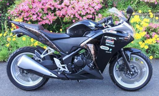 CBR250R　MC41　走行21500km　(No.2149)