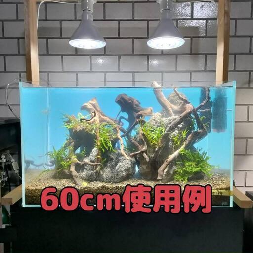 【水槽関連】雲山石　大\u0026中