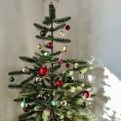 無料で差し上げます。クリスマスツリー
