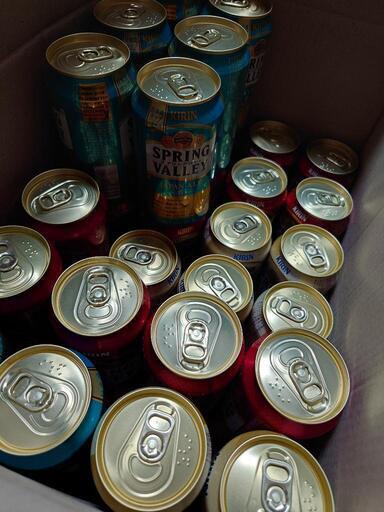 ビール◆スプリングバレー各種8853円分