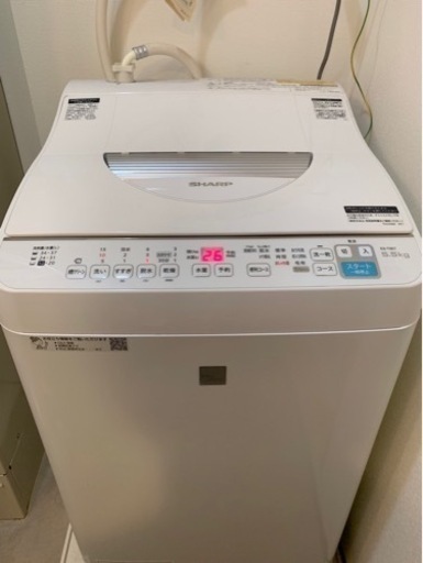 家電 生活家電 洗濯機
