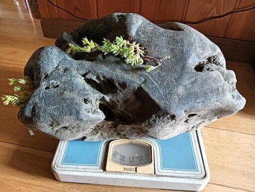 八海石 重さ26kg