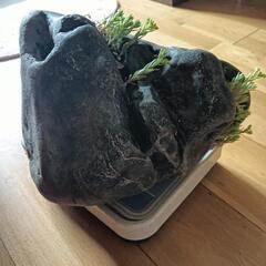 八海石 重さ26kg