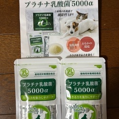 【決まりました】プラチナ乳酸菌5000α (5包入)2袋  便秘...