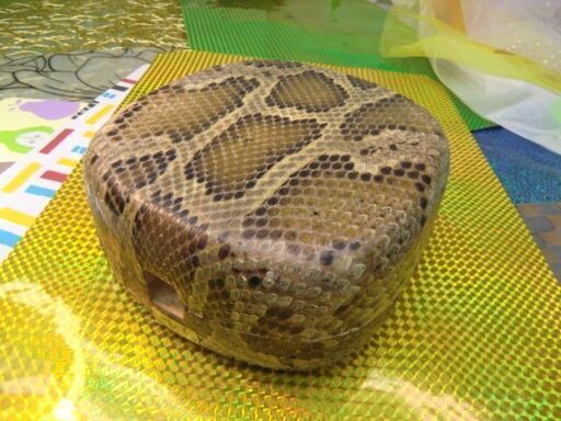 現品販売R14 沖縄三線専用 蛇皮強化(二重張)型チーガ 胴