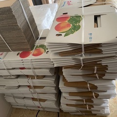 桃の贈答品箱90箱