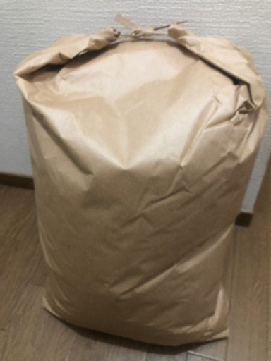 取引決定　令和5年産　まっしぐら30キロ 玄米