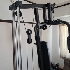 ホームジム 引き取り限定