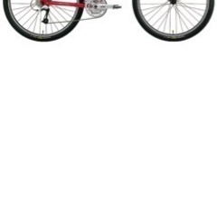 【商談成立】ルイガノ 極美品 3点セット LGS XC BART 自転車 マウンテンバイク  