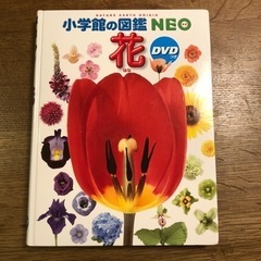 小学館図鑑neo 花（DVD付き）