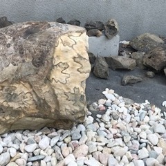 【ネット決済・配送可】博物館級　巨大なアンモナイト化石1/4 中...