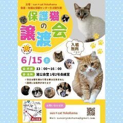 保護猫の譲渡会 6/15(土) @ sun＊cat Yok…