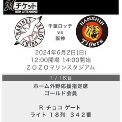 【ネット決済】千葉ロッテ vs 阪神（交流戦）　2024/06/...