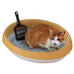 猫　トイレ&猫砂セット