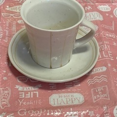 コーヒーカップ&ソーサーの植木鉢②