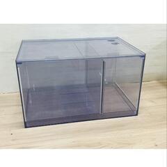 生体（豚鼻）、アクリル水槽120×60×35セット