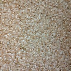 群馬県 前橋市の玄米の中古が安い！激安で譲ります・無料であげます  